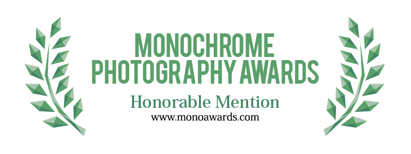 Logo Monochrome Photography Award 2017